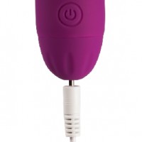 10 Speeds Rechargeable Silicone Purple Vibrator